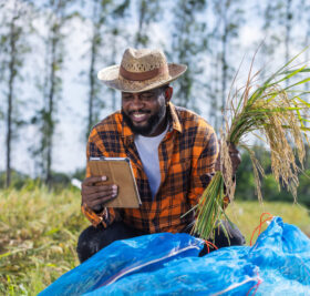 A farmer in a plaid shirt and straw hat kneels in a rice field, holding a harvested rice stalk in one hand and using a tablet in the other. He appears to be analyzing samples and collecting agricultural data