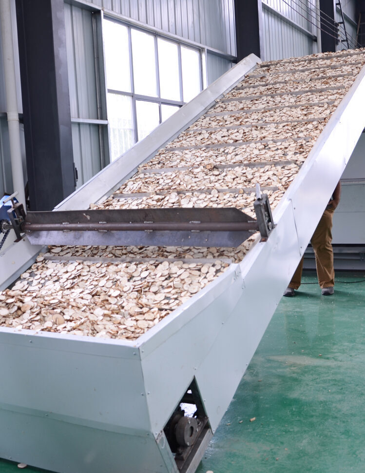 cassava-drying-and-grinding-production-line-mesh-belt-dryer-cassava-dehydration-machine-720