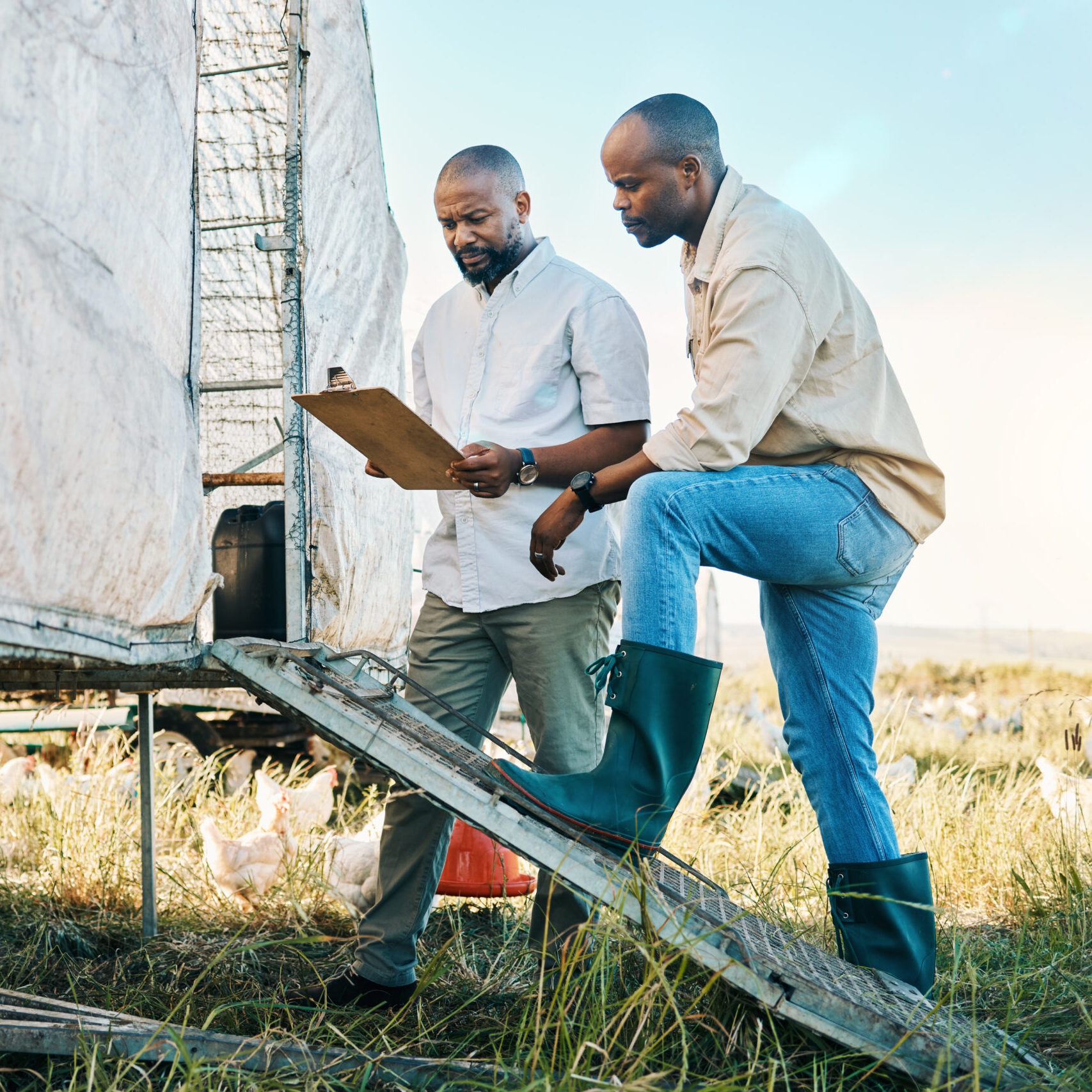 Farmer, clipboard and agriculture team planning or check harvest together to monitor Sustainability.